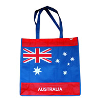 奉贤KB50广告无纺布袋